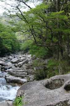 奥津温泉の渓谷