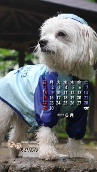 2014_06_calendar_iOS7
