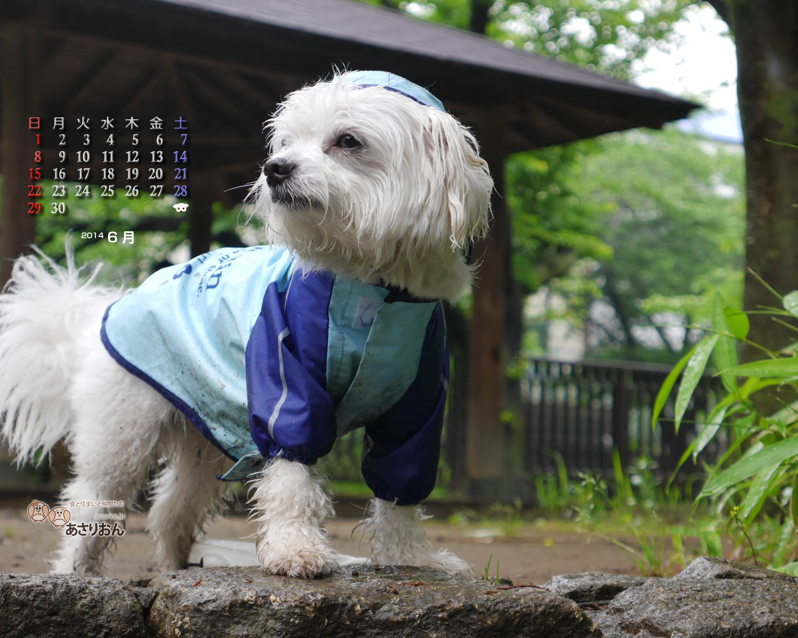 2014_06_calendar_l