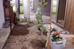 出来上がりは、奥の土の山。十月桜を植えることにしたので、そのときに掘った土とあわせて、次の時に使う土を作ってました。