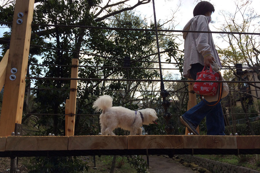 こんな風に犬もわたったのかなぁ？