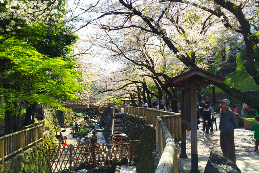 音無の滝の公園、大きな滝があって、音が消されたから音無の滝。