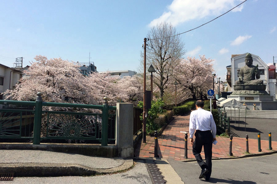 観音橋、王子から来て、この橋を渡って車の通る道を右にひたすらまっすぐ行くと、JR板橋駅の商店街に。短いコースはここまで。僕のスタートは実はここからでした。