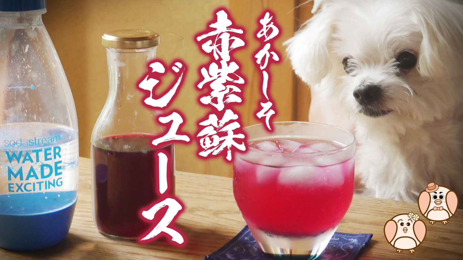 鮮やかな目にも美味しい夏の紫蘇ジュース あさりおん