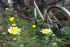 やっと見つけた前の自転車の写真