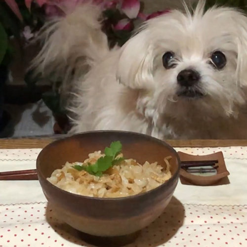 たけのこ混ぜご飯