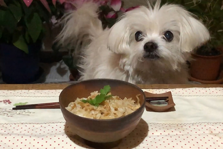 鶏ももとたけのこの混ぜご飯の作り方 あさりおん 鶏ももとたけのこの混ぜご飯の作り方 あさりおん