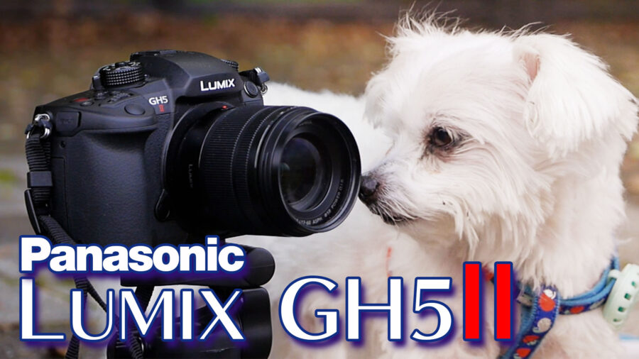 LUMIX-GH5-II